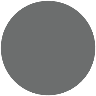 Gris platine